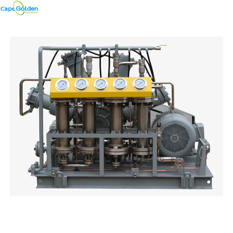 CO2 Carbon Dioxide Compressor Oil Free Gas Compressor 16-40bar Industrial